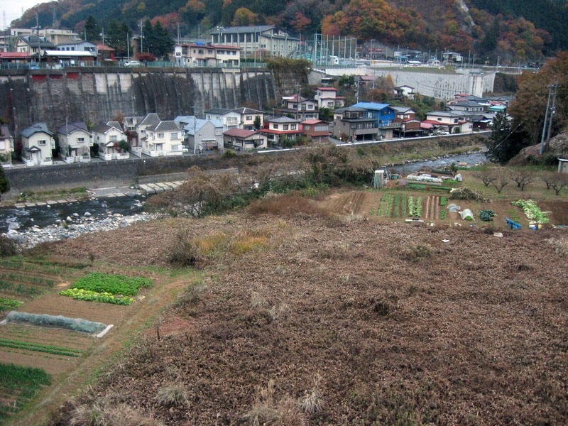 高川山